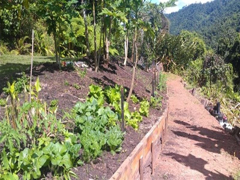 Lot 2 Jackson Road, Shell Pocket QLD 4855