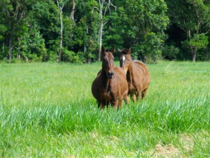 Lot 32 Tully/Mission Beach Road, Mission Beach QLD 4852
