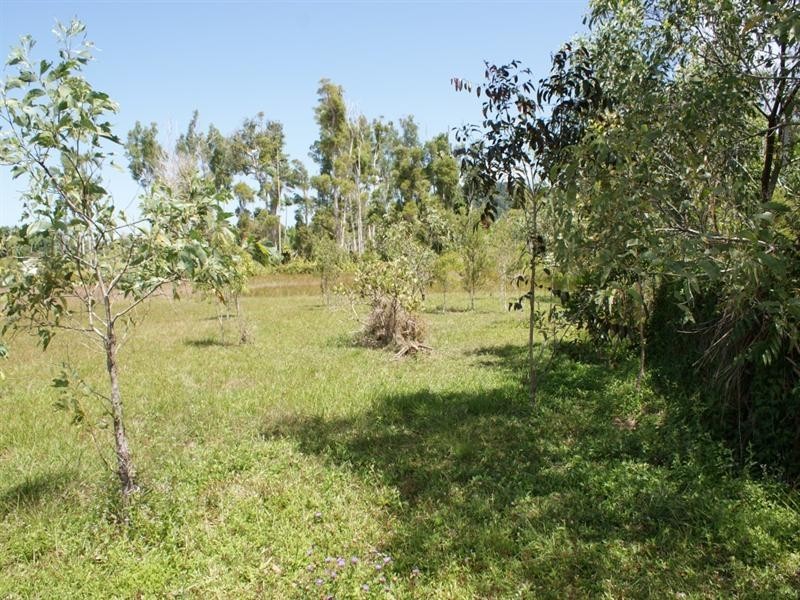 39 Sanctuary Crescent, Wongaling Beach QLD 4852