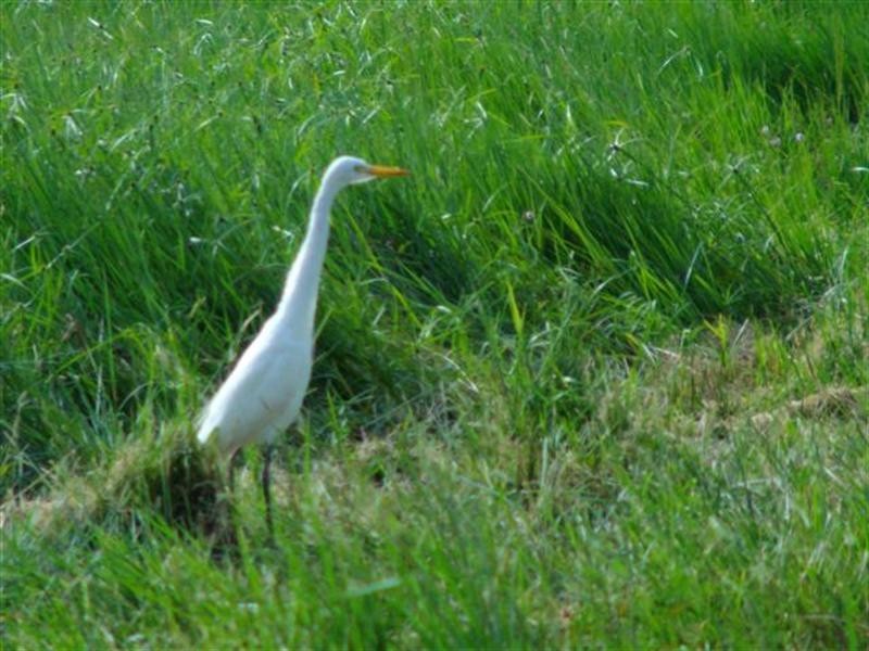176 Tully/Mission Beach Road, Mission Beach QLD 4852
