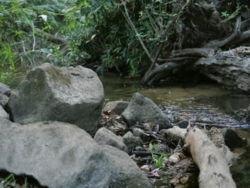 176 Tully/Mission Beach Road, Mission Beach QLD 4852