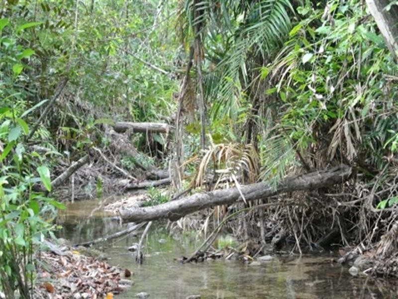 176 Tully/Mission Beach Road, Mission Beach QLD 4852