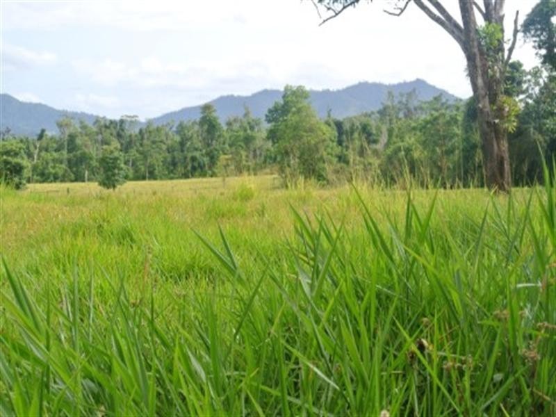 176 Tully/Mission Beach Road, Mission Beach QLD 4852