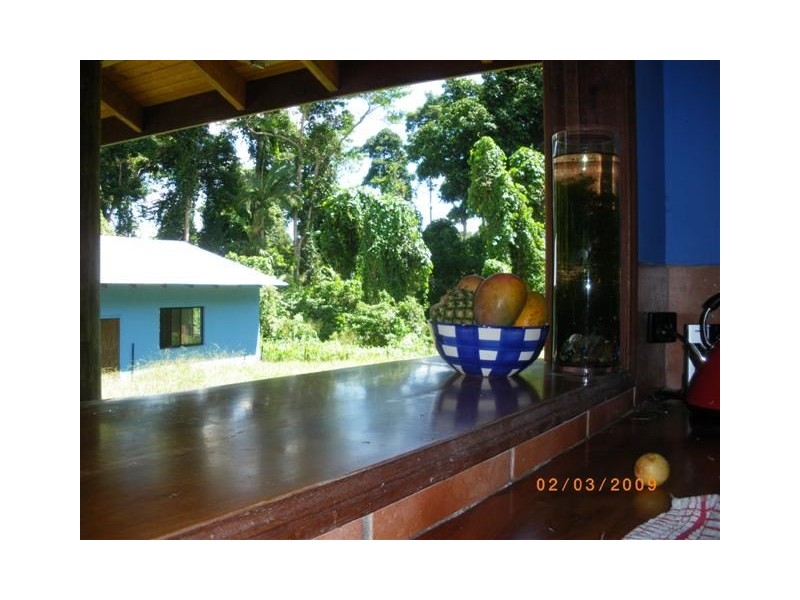 5 Plantation Drive, Bingil Bay QLD 4852