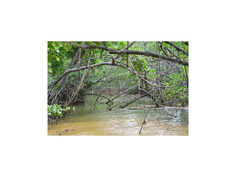 Lot 3 Wheatley Road, Wongaling Beach QLD 4852