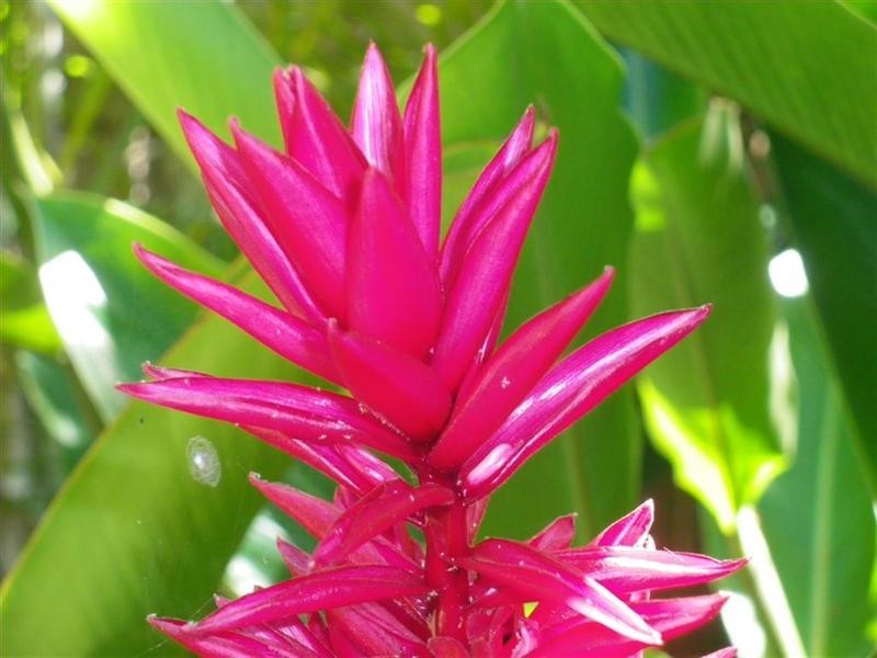 152 Kennedy Esplanade, South Mission QLD 4852