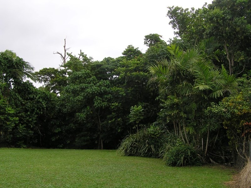 42 Bingil Bay Road, Bingil Bay QLD 4852