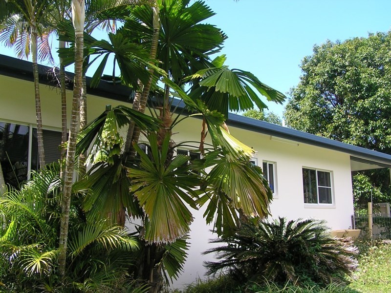 42 Bingil Bay Road, Bingil Bay QLD 4852