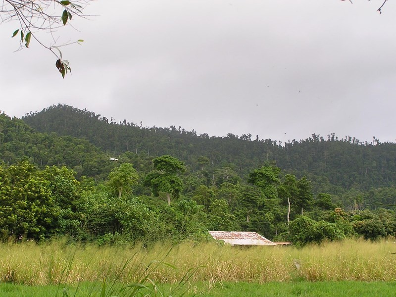 42 Bingil Bay Road, Bingil Bay QLD 4852