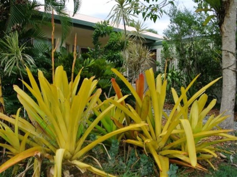 36 Holland Street, Wongaling Beach QLD 4852