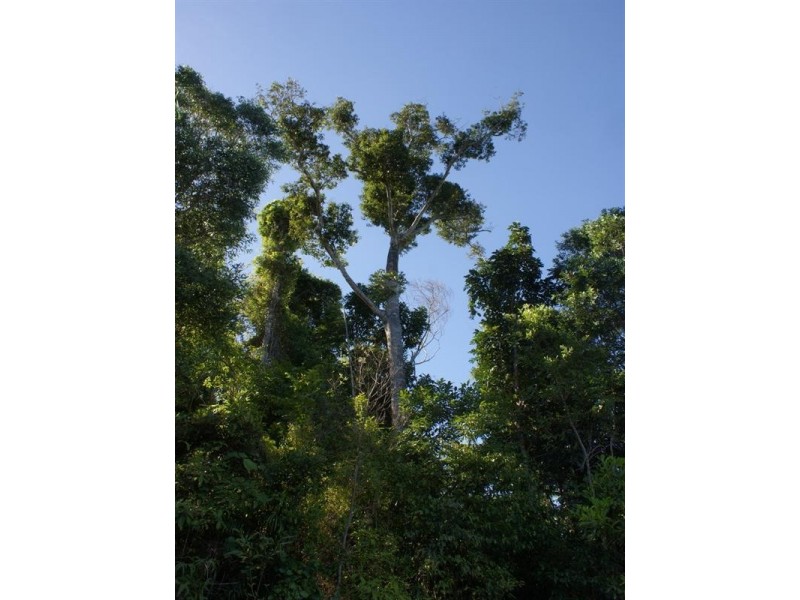 42 Mission Circle, Wongaling Beach QLD 4852