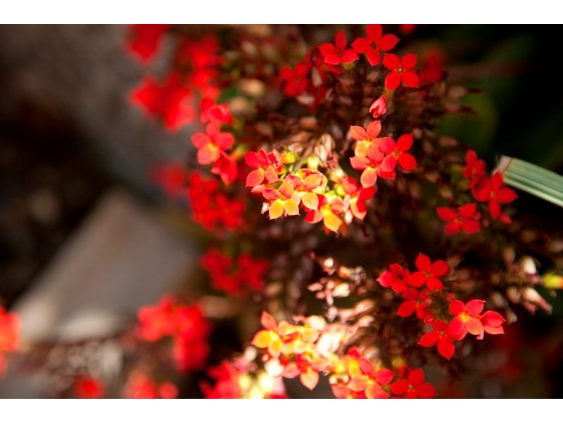 8/23 The Boulevard, South Mission QLD 4852