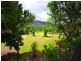 717 Old Tully Road, Tully QLD 4854