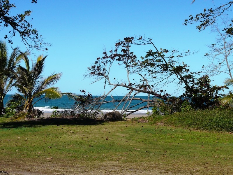 Mission Beach QLD 4852