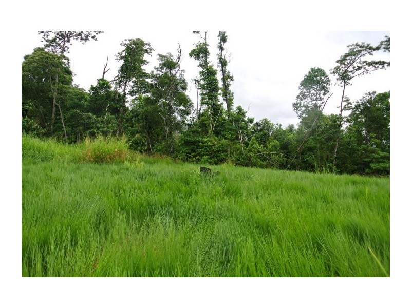 5 Patane Court, Tully QLD 4854