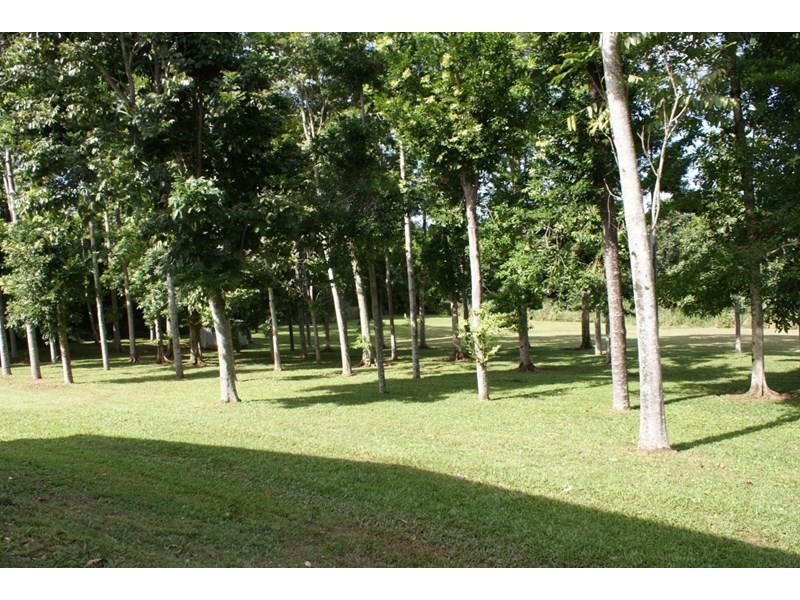 132 Boyett Road, Mission Beach QLD 4852