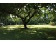 132 Boyett Road, Mission Beach QLD 4852