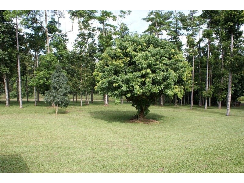 132 Boyett Road, Mission Beach QLD 4852