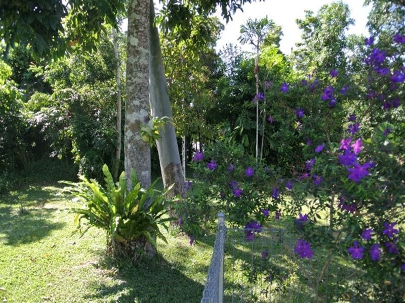 32 Bingil Bay Road, Bingil Bay QLD 4852