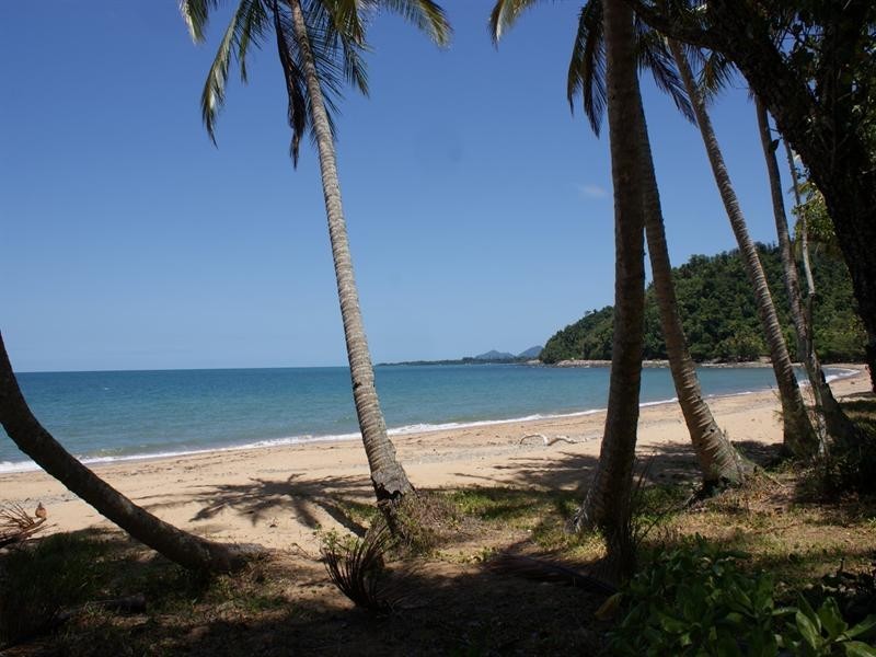 49 Cutten Street, Bingil Bay QLD 4852