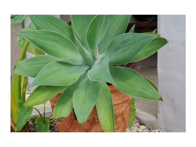 129 Reid Road, Wongaling Beach QLD 4852