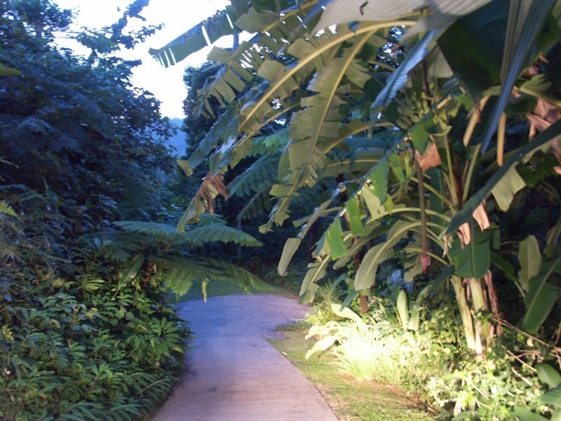 Mission Beach QLD 4852