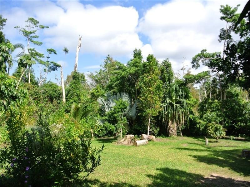 19 Holland Street, Wongaling Beach QLD 4852