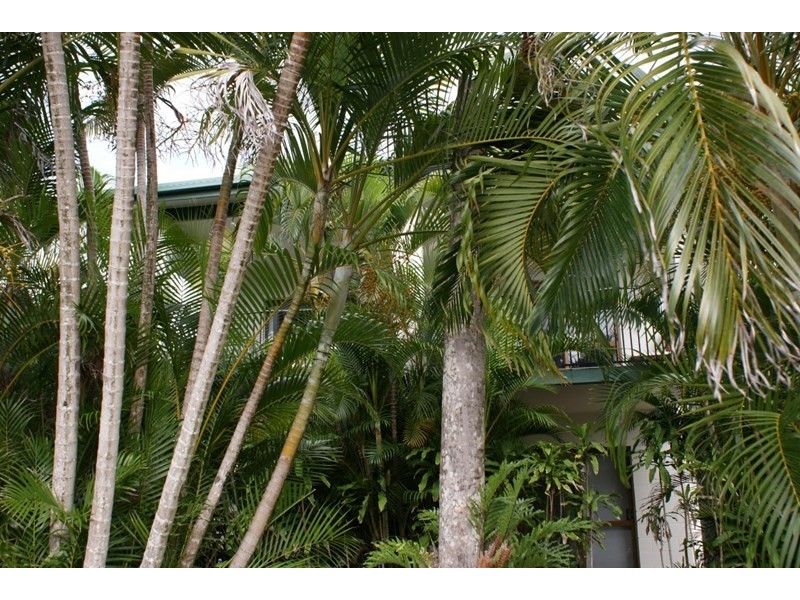 4/40 Wall Street, South Mission QLD 4852