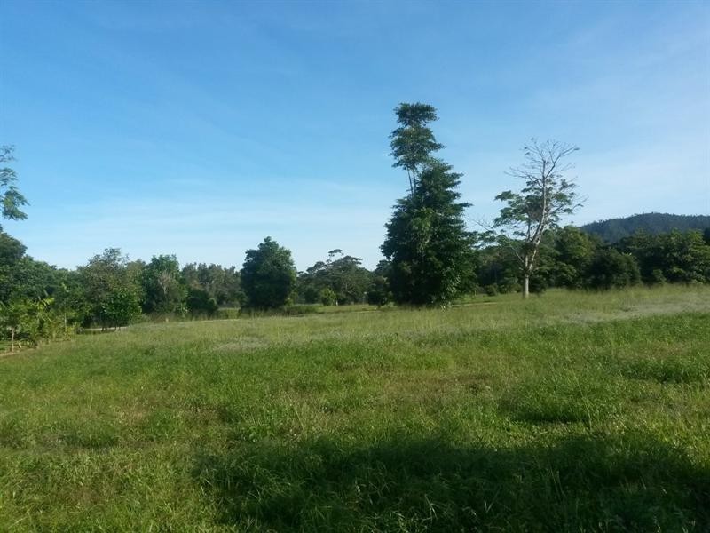 Lot 34 Sandpiper Close, Mission Beach QLD 4852