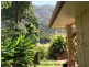 7 Henry Street, Tully QLD 4854