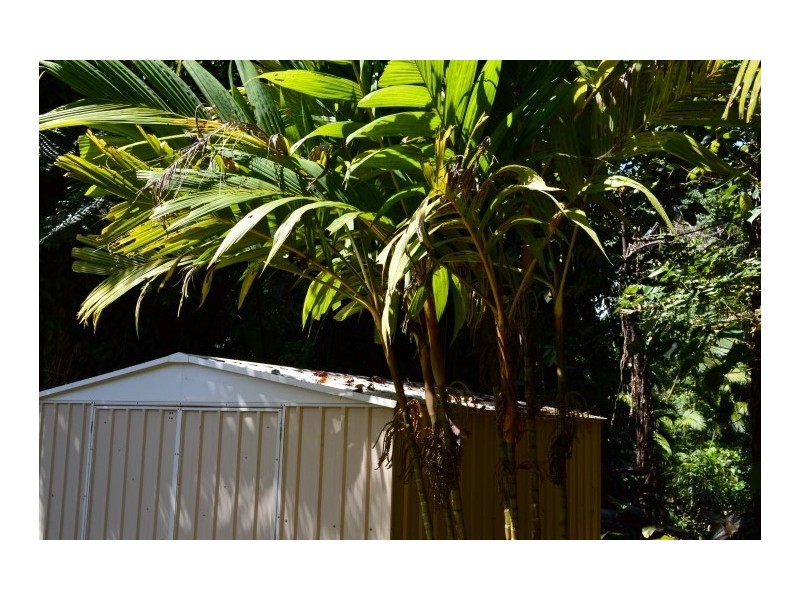 69 Cutten Street, Bingil Bay QLD 4852