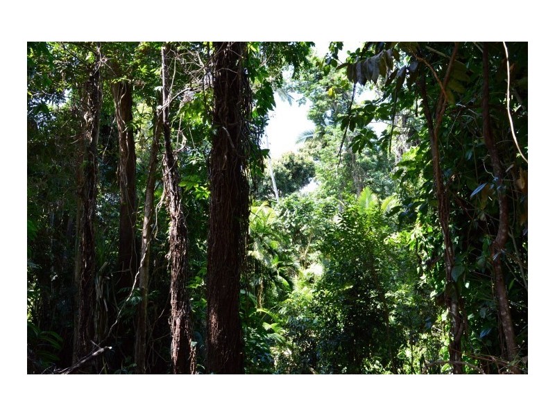 69 Cutten Street, Bingil Bay QLD 4852