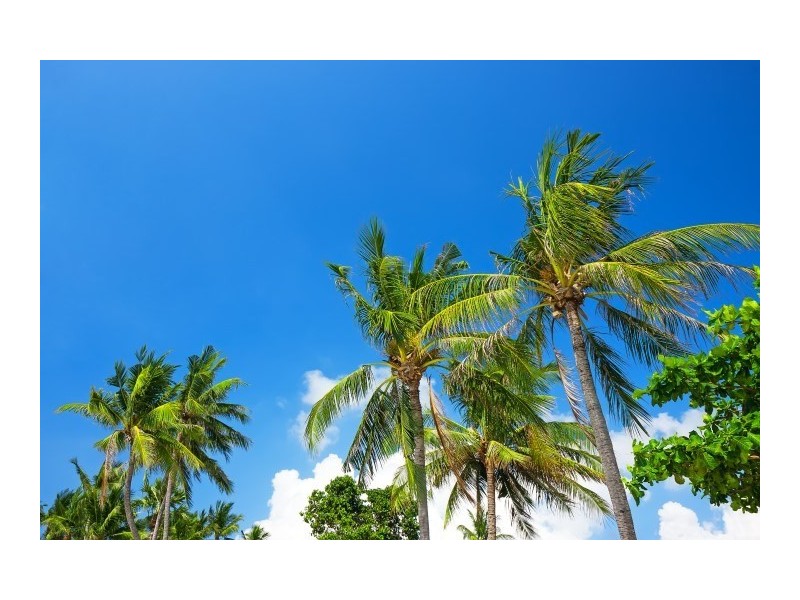 62 Reid Road, Wongaling Beach QLD 4852