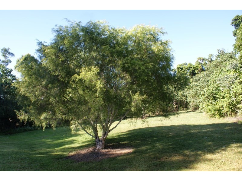 2 Mission Circle, Wongaling Beach QLD 4852