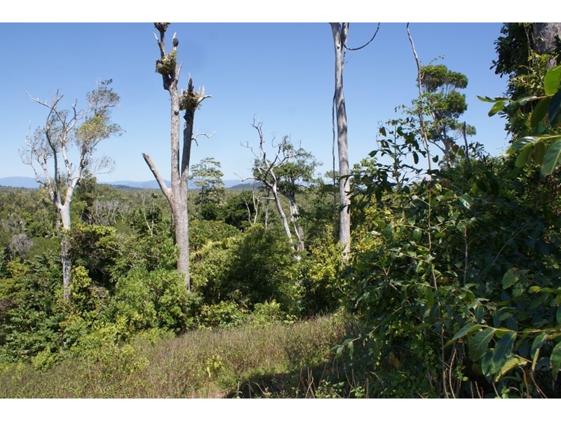 9 Bedarra Terrace, South Mission QLD 4852