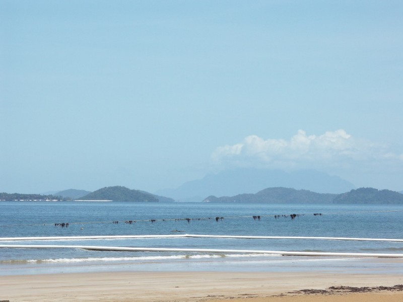 Mission Beach QLD 4852