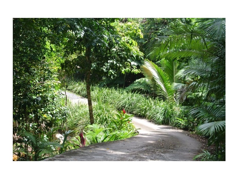 Lot 10 Plantation Drive, Bingil Bay QLD 4852