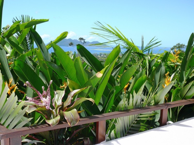 Mission Beach QLD 4852