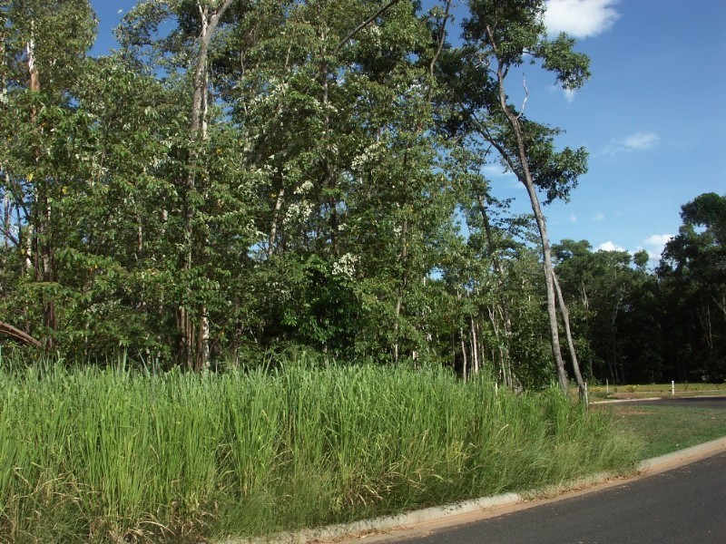 Mission Beach QLD 4852