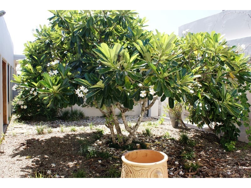2 Conch Street, Mission Beach QLD 4852