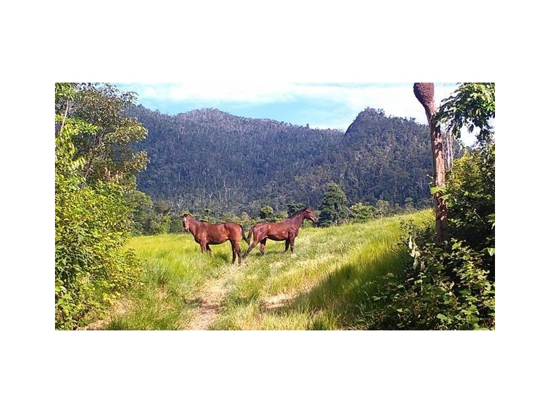 Lot 32 Tully Mission Beach Road, Mission Beach QLD 4852