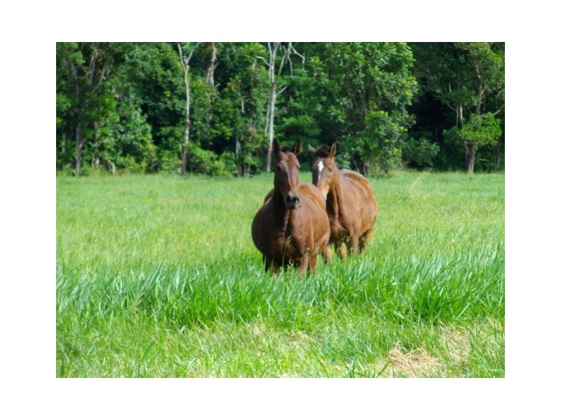 Lot 32 Tully Mission Beach Road, Mission Beach QLD 4852