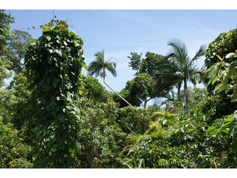 80 Cutten Street, Bingil Bay QLD 4852