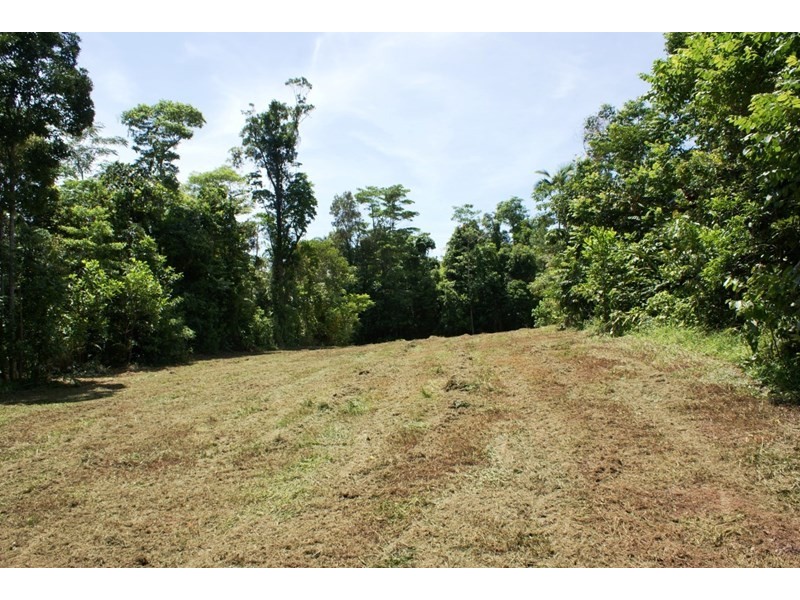 80 Cutten Street, Bingil Bay QLD 4852