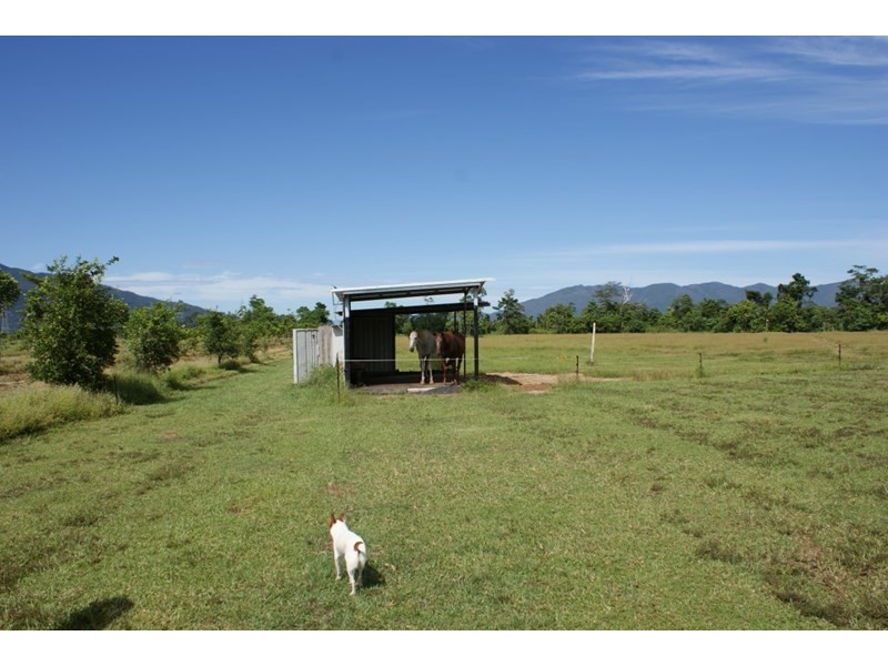 252 East Feluga Road, East Feluga QLD 4854