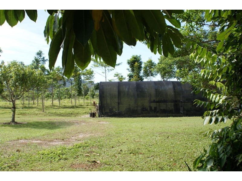 252 East Feluga Road, East Feluga QLD 4854