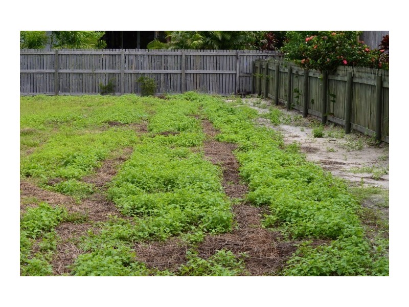 19 Buccaneer Street, South Mission QLD 4852