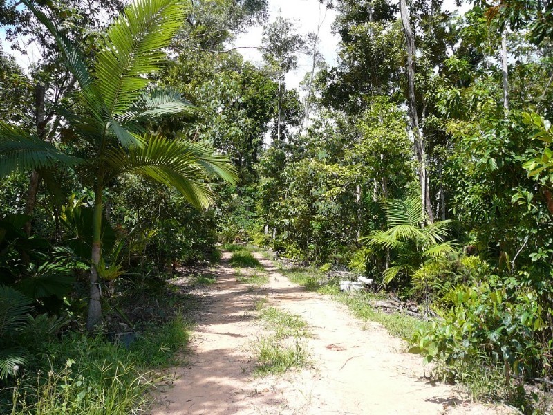 Mission Beach QLD 4852