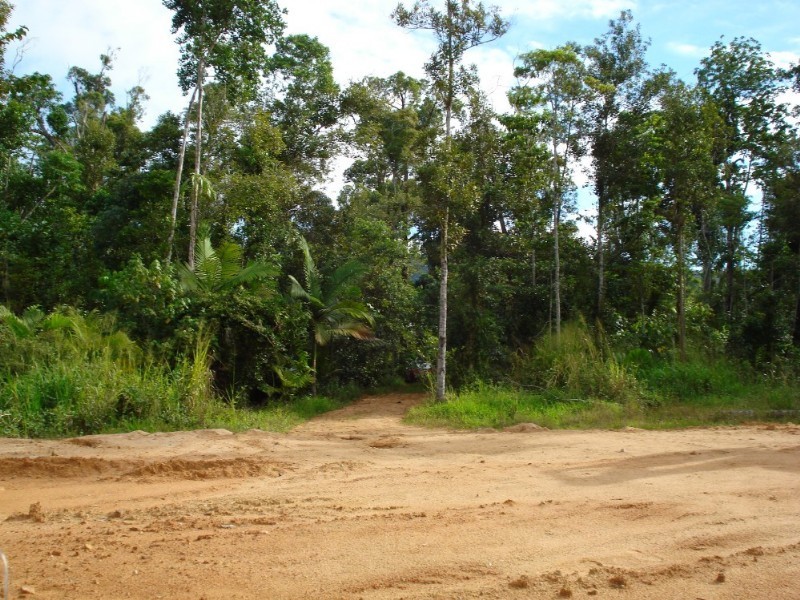 Mission Beach QLD 4852