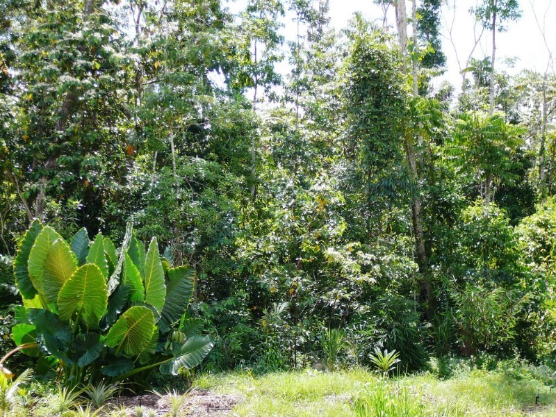 Mission Beach QLD 4852